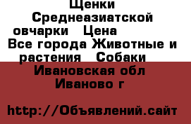 Щенки Среднеазиатской овчарки › Цена ­ 30 000 - Все города Животные и растения » Собаки   . Ивановская обл.,Иваново г.